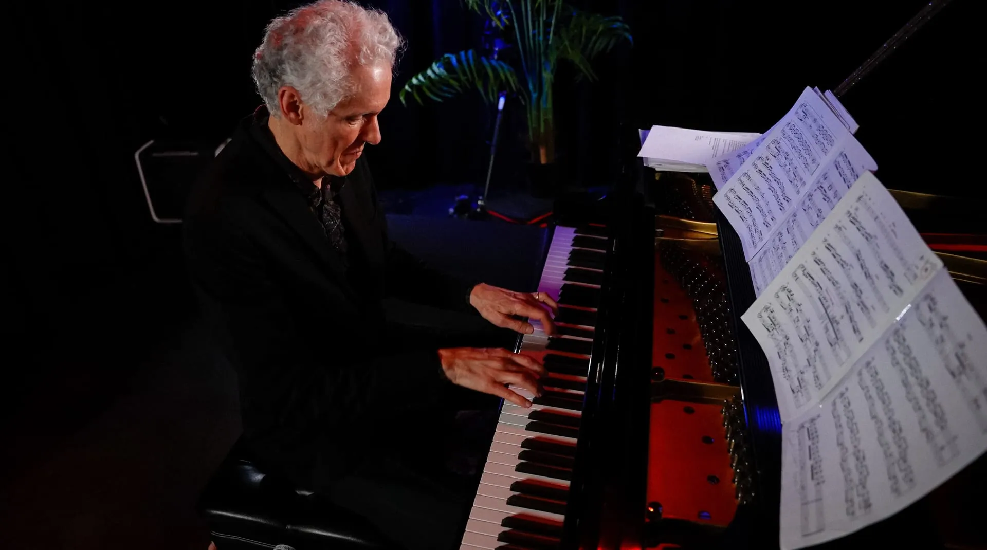 Yves Léveillé en concert
